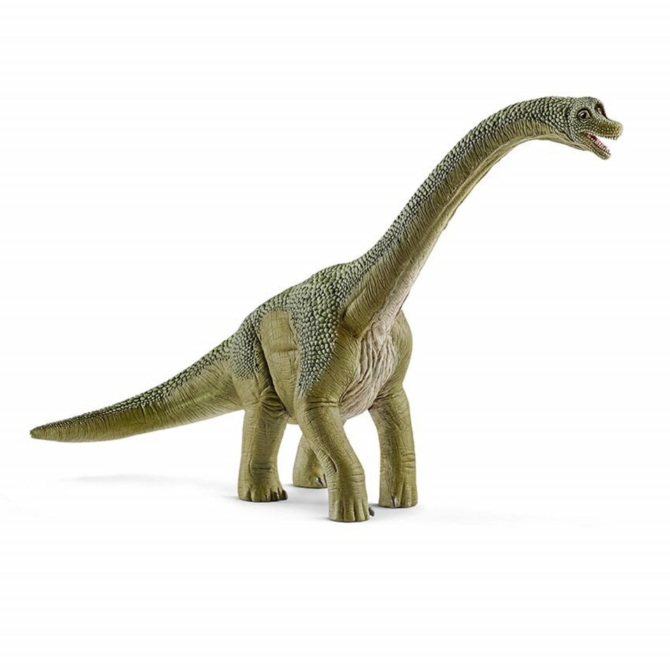 Brachiosaurus