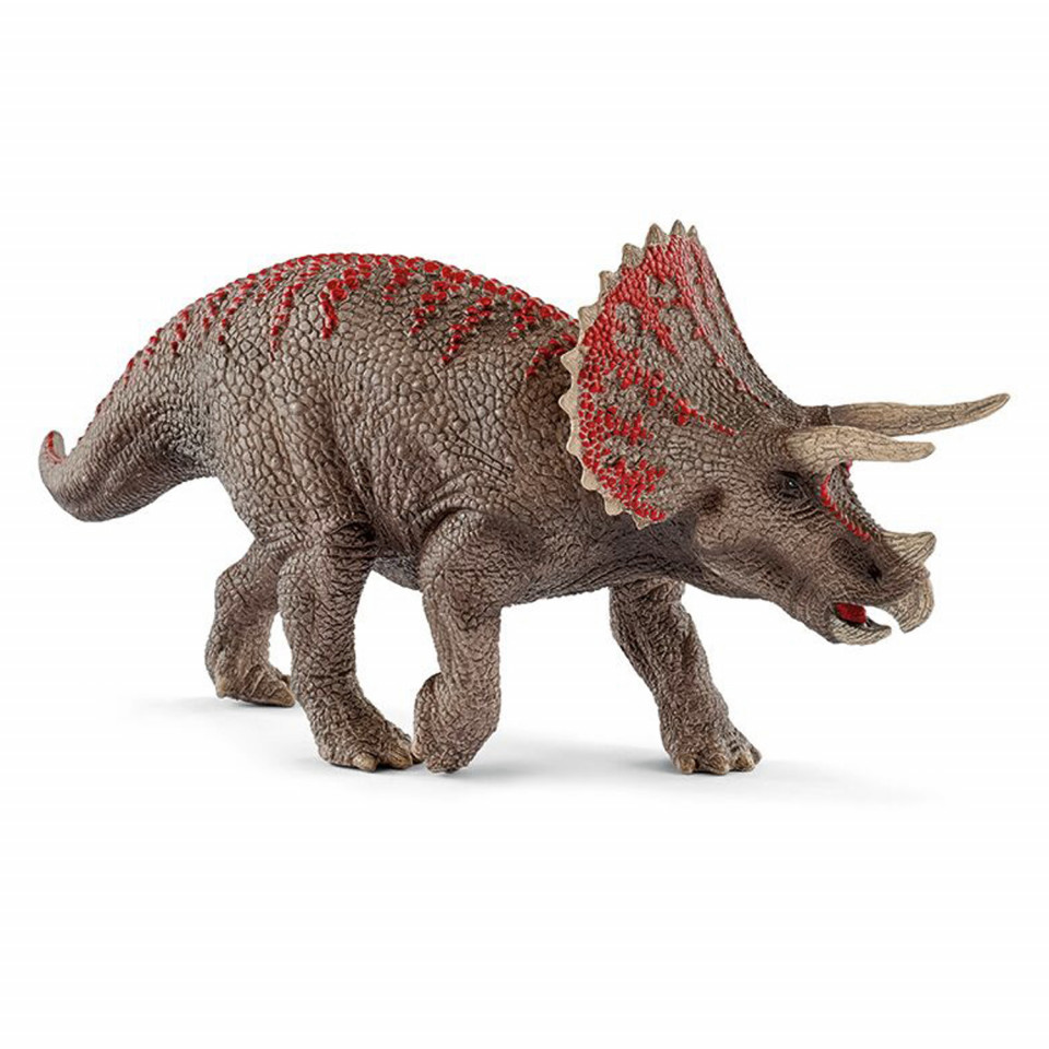 Triceratops