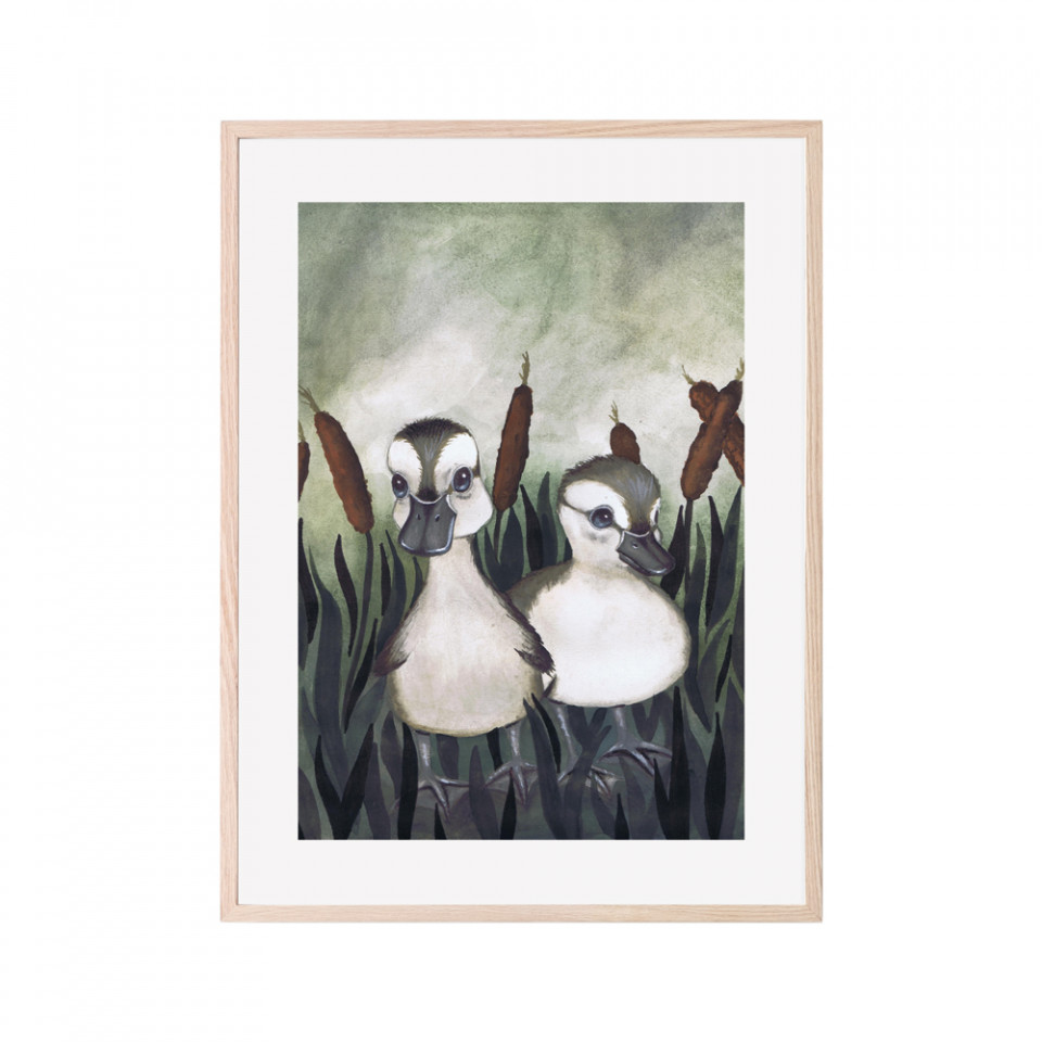 Duck friends plakat 30x40 cm