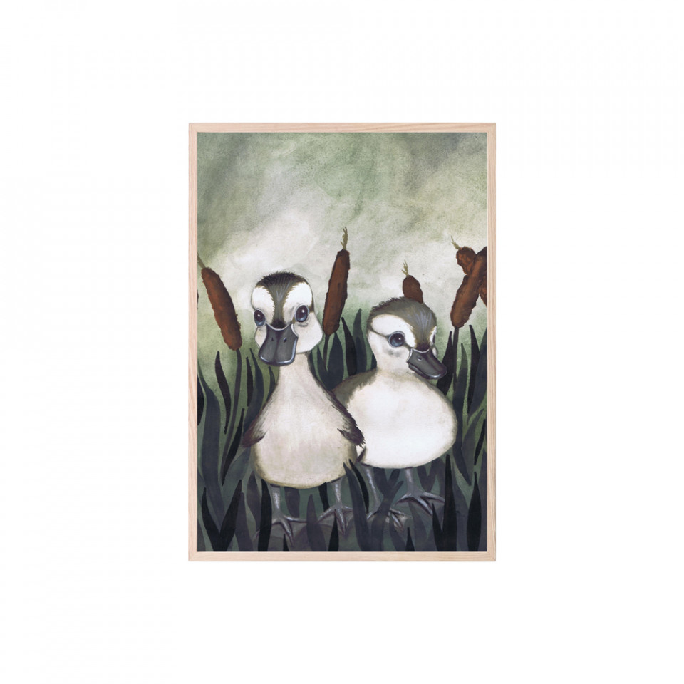 Duck friends plakat 21x30 cm