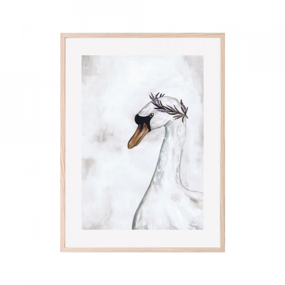 Proud swan plakat 30x40 cm