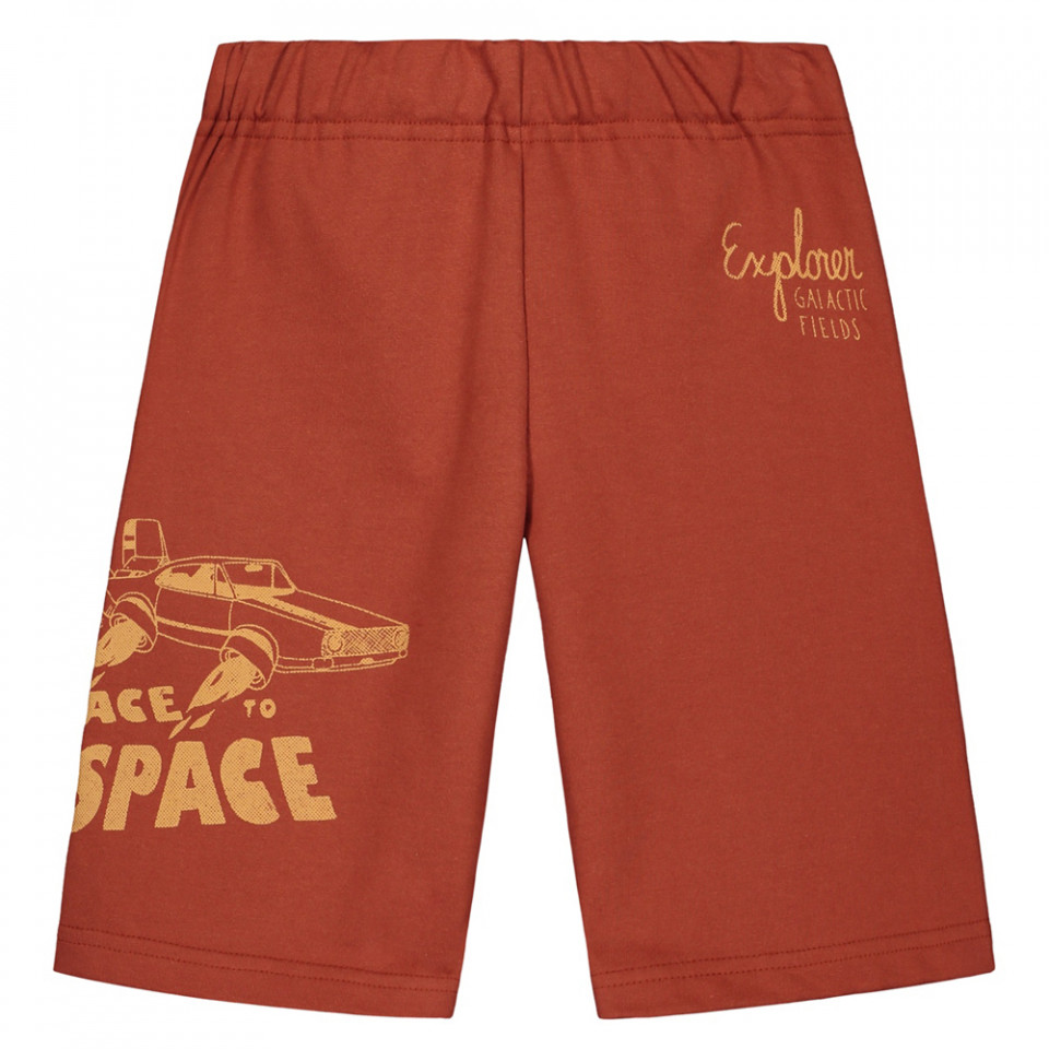 Organic Race to Space shorts