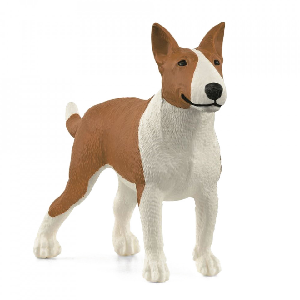 Bull Terrier