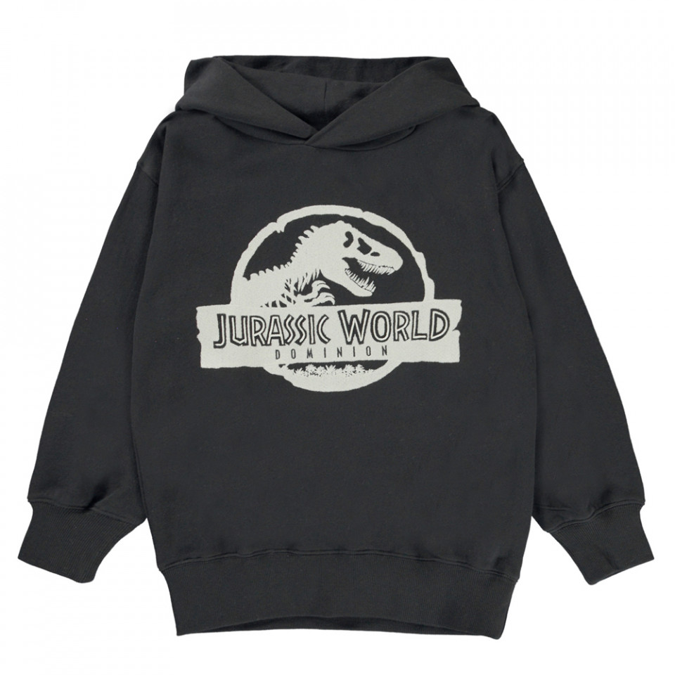 Organic Moz sweatshirt