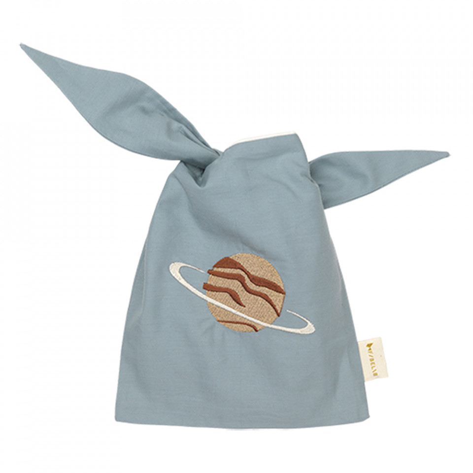 Organic Planet snack poser