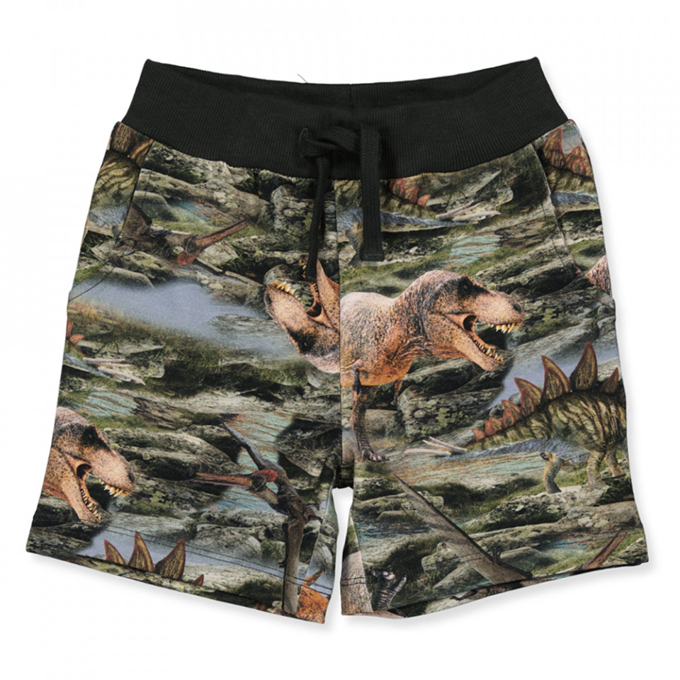 Organic Hino shorts