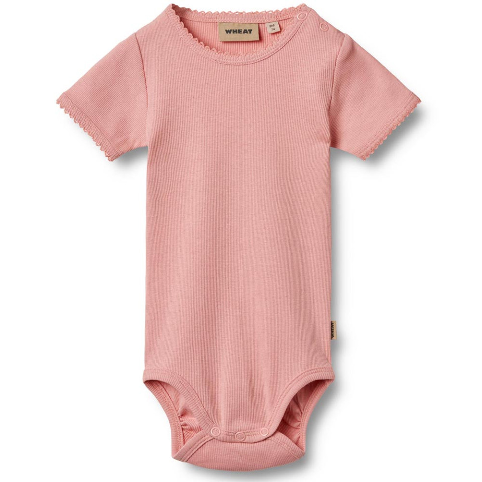 Organic Elisa rib body