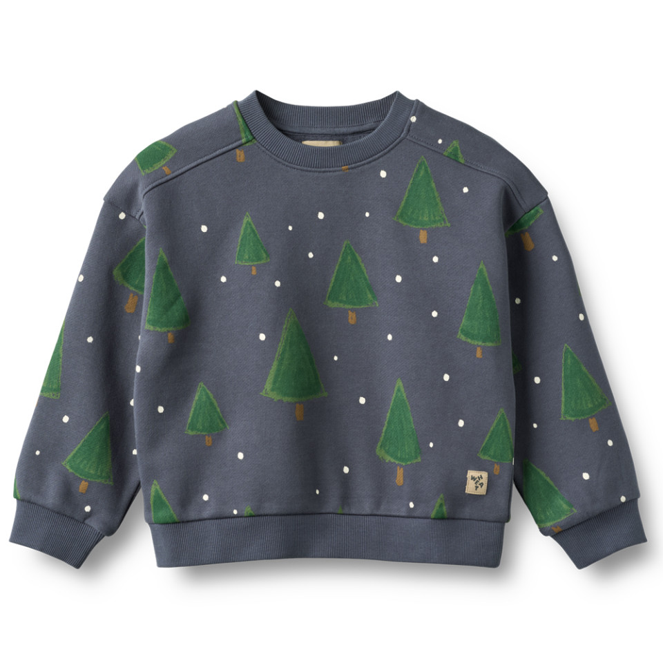 Organic Sandro sweatshirt