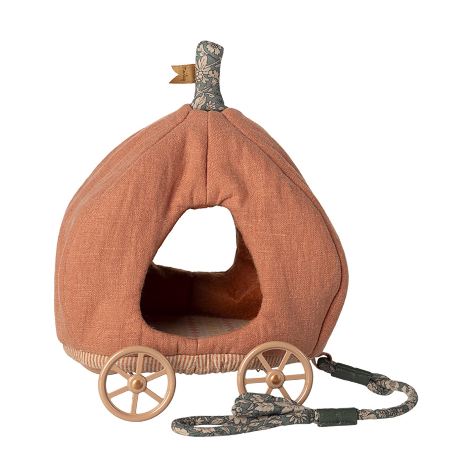 Græskarvogn til mus