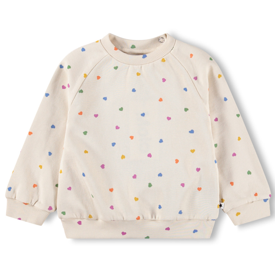 Organic Disc sweatshirt