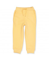 Organic Rue sweatpants