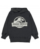 Organic Moz sweatshirt