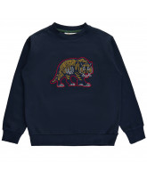 Danio sweatshirt