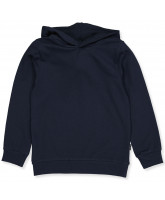 Dark sapphire sweatshirt