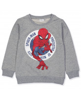 Organic Janich Spiderman sweatshirt