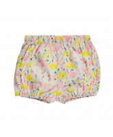 Pip garden flowers bloomers