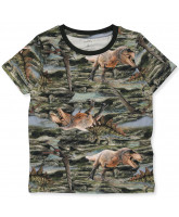 Organic Hinosaur t-shirt