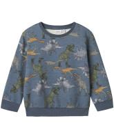 Organic NMMBenja sweatshirt