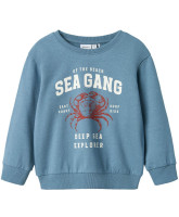 Organic Nmmfabian sweatshirt